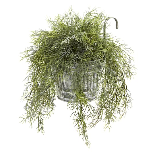 10" Spanish Moss in Vintage Hanging Metal Pail